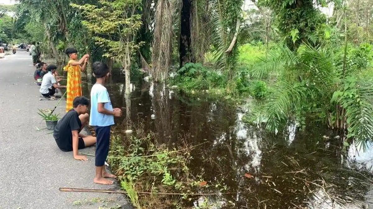 Pemilik Tambak Lele Pasrah Alami Kerugian, Begini Perhitungan Nominalnya