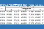 2-Tabel-pinjaman-BRI-tanpa-jaminan-Rp-60-Juta-Rp-100-Juta.jpg