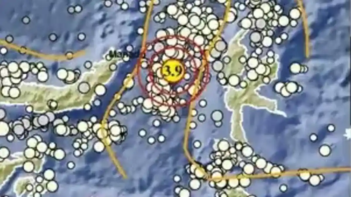 Gempa Terkini di Ternate Malut Siang Ini Selasa 16 Juni 2026, Berikut Info BMKG