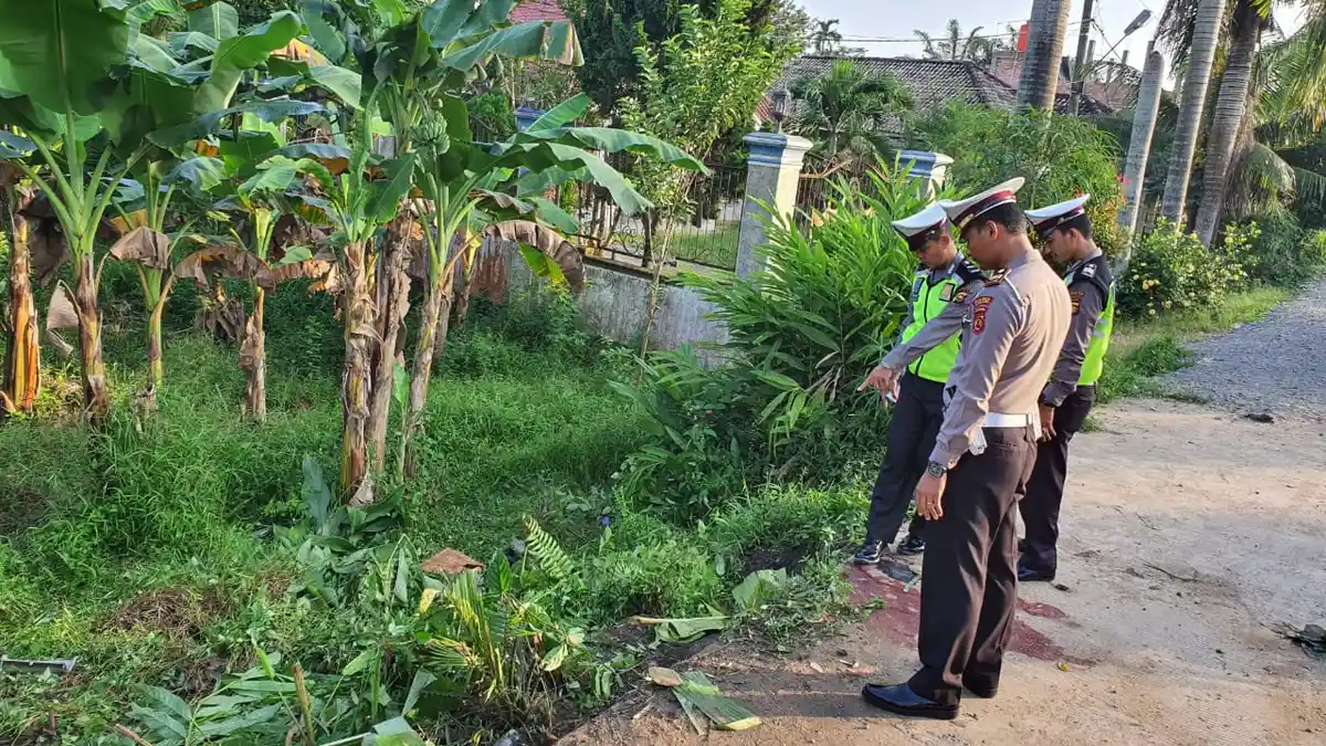Kronologi Innova vs Truk PS di Jalan Lintas Sumatera, Kecelakaan Maut Tewaskan 3 Orang