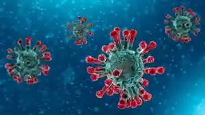 coronavirus.jpg