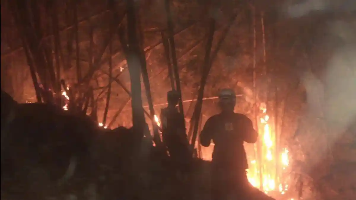 Kebakaran Lahan Terjadi di Gunung Geulis Sumedang, Api Menyala di Kegelapan Malam