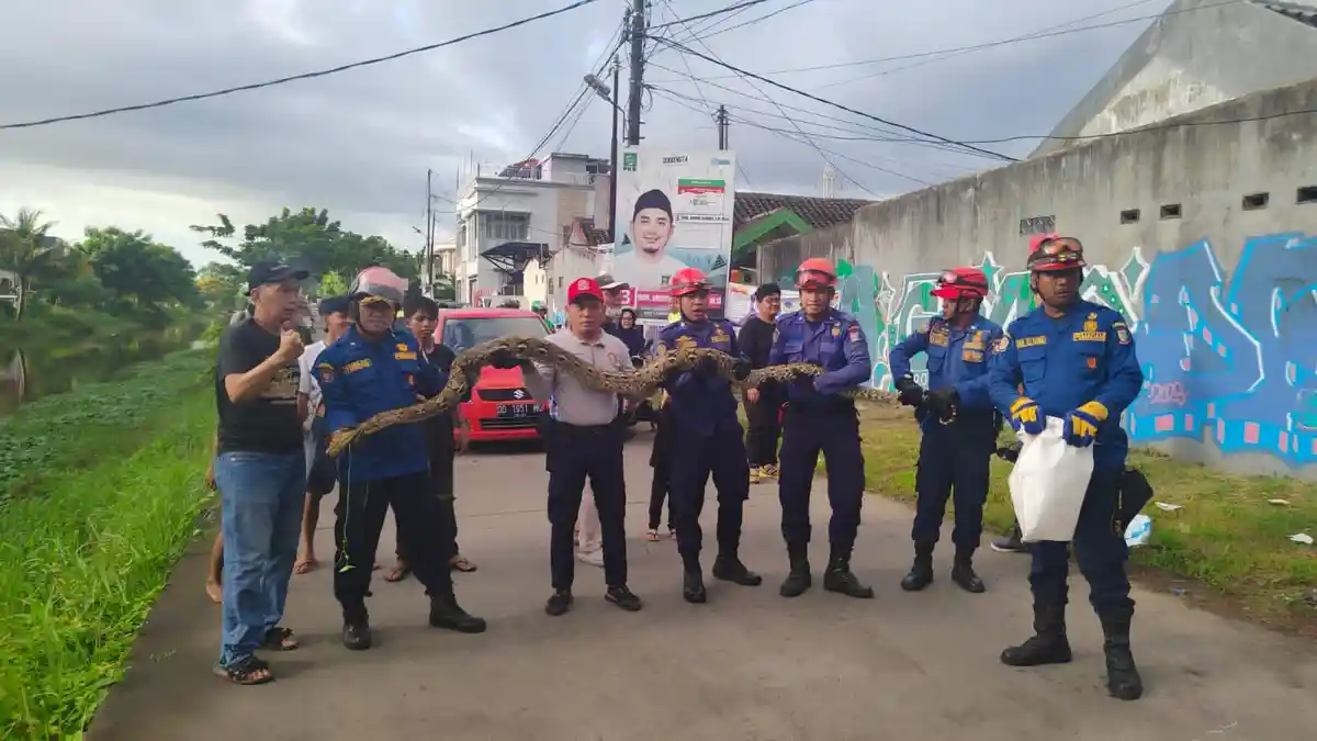 Damkar Lebih Banyak Terima Laporan Warga, dari KDRT hingga HP Kena Hack