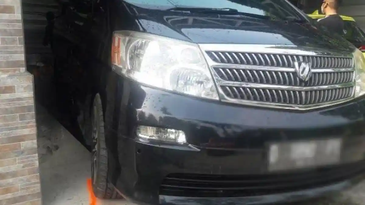 Terungkap Sosok Pengemudi Mobil Alphard di Kasus Subang? Saksi Sopir Angkot dan Penumpang, Kata Danu