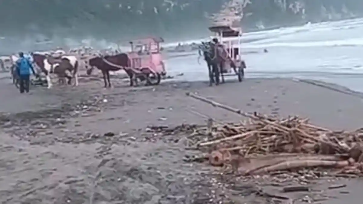 Pantai Parangtritis Yogyakarta Viral Dipenuhi Sampah Kiriman