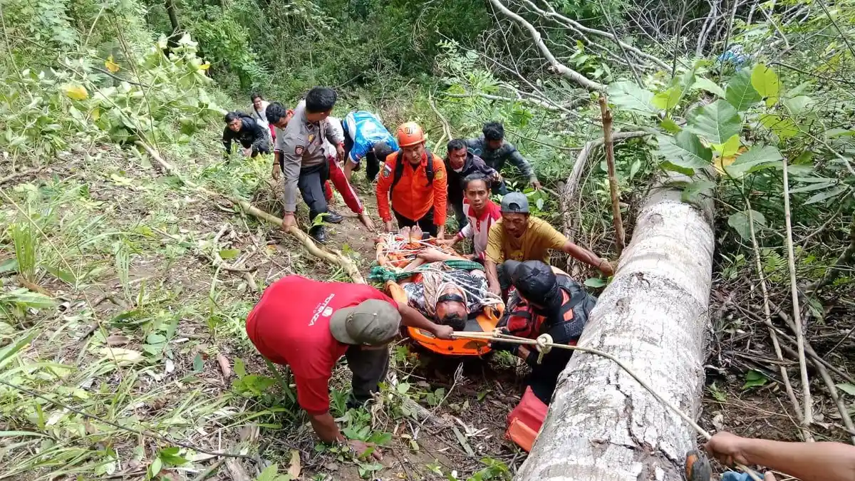 Tim SAR Gabungan Berhasil Evakuasi Korban Selamat Kecelakaan di Jurang Kebun Kopi Parimo