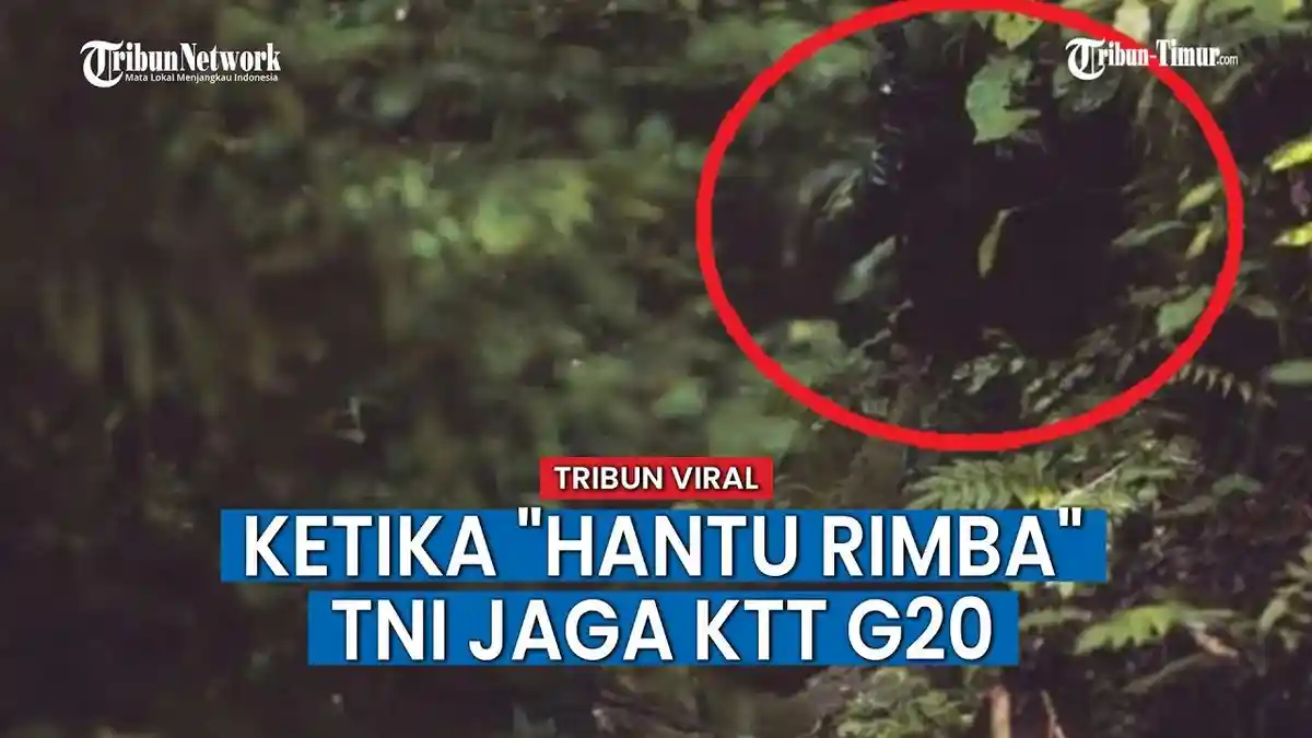 Kehabatan Hantu Rimba Pasukan Elit TNI, Ditugaskan Jaga Joe Biden Cs di KTT G20 di Bali
