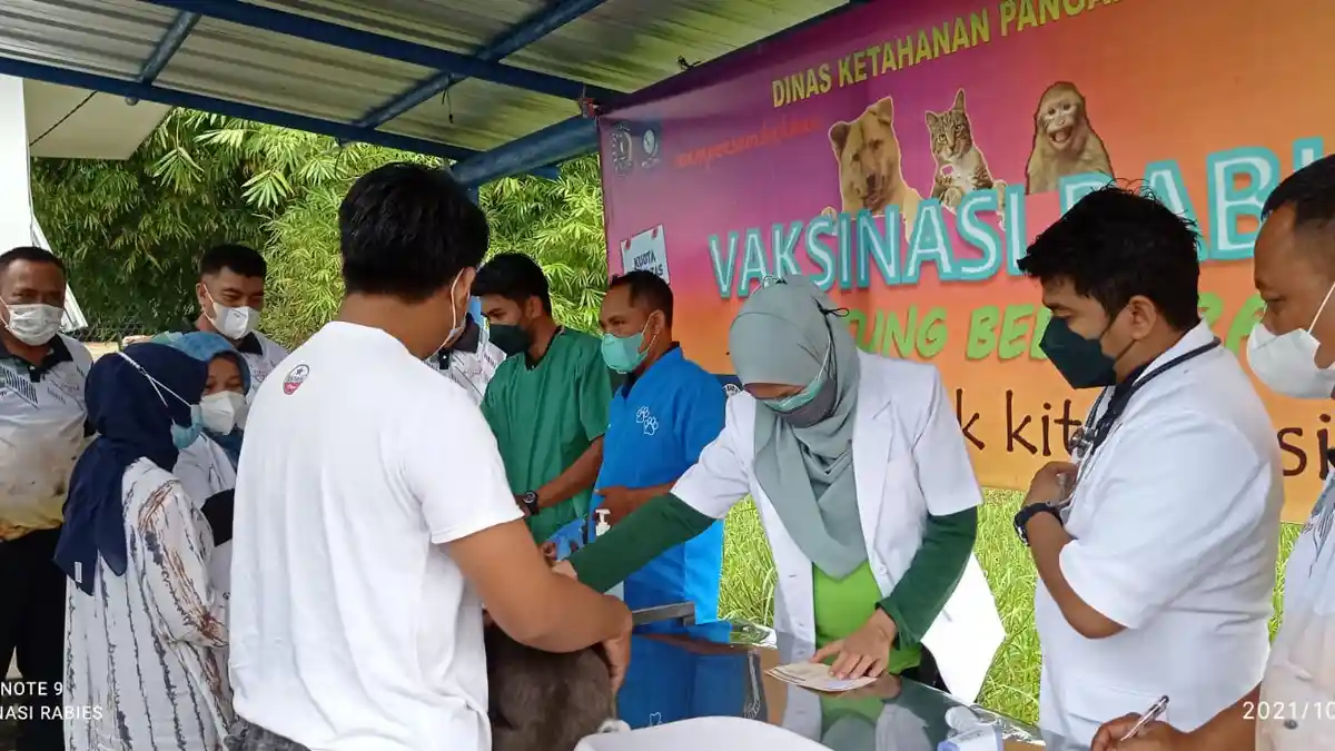Tiap Kecamatan di Bangka Tengah Bakal Ada Puskeswan