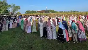 sdi-nu-pare.jpg