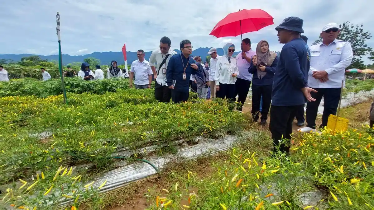 Hasilkan Pupuk Swadaya, Petani Bone Bolango Diapresiasi Sekmil Presiden RI