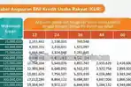 20260511-Simulasi-Cicilan-KUR-BNI-Pinjaman-Rp25-JutaRp500-Juta.jpg