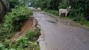aceh-tamiang_jalan-amblas.jpg