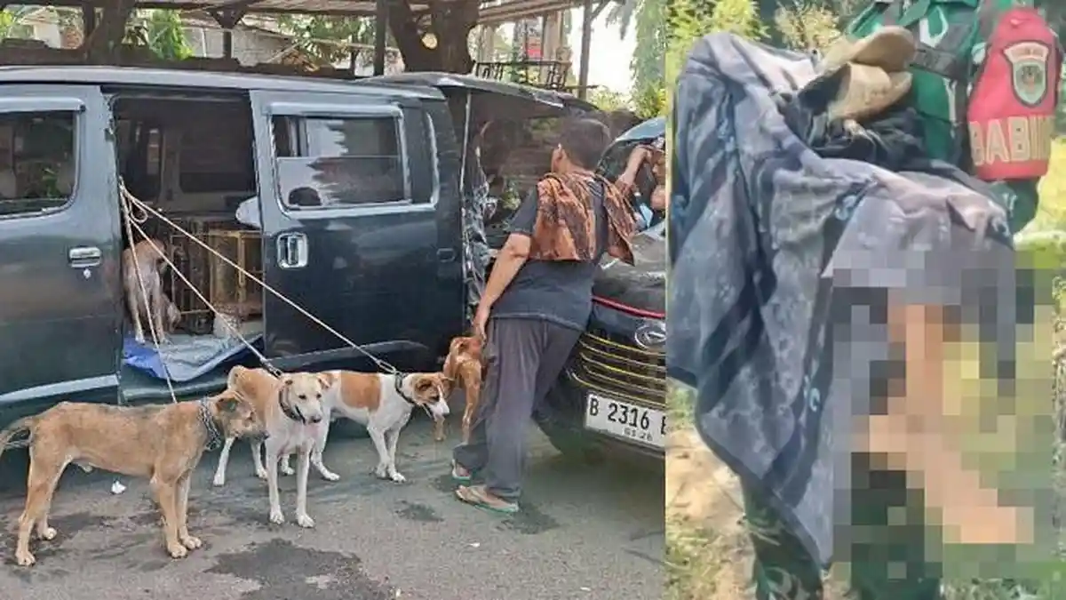 Asal Usul Komunitas Berburu Babi Hutan yang Telan Korban di Jasinga Bogor, Kades: Tak Pernah Izin
