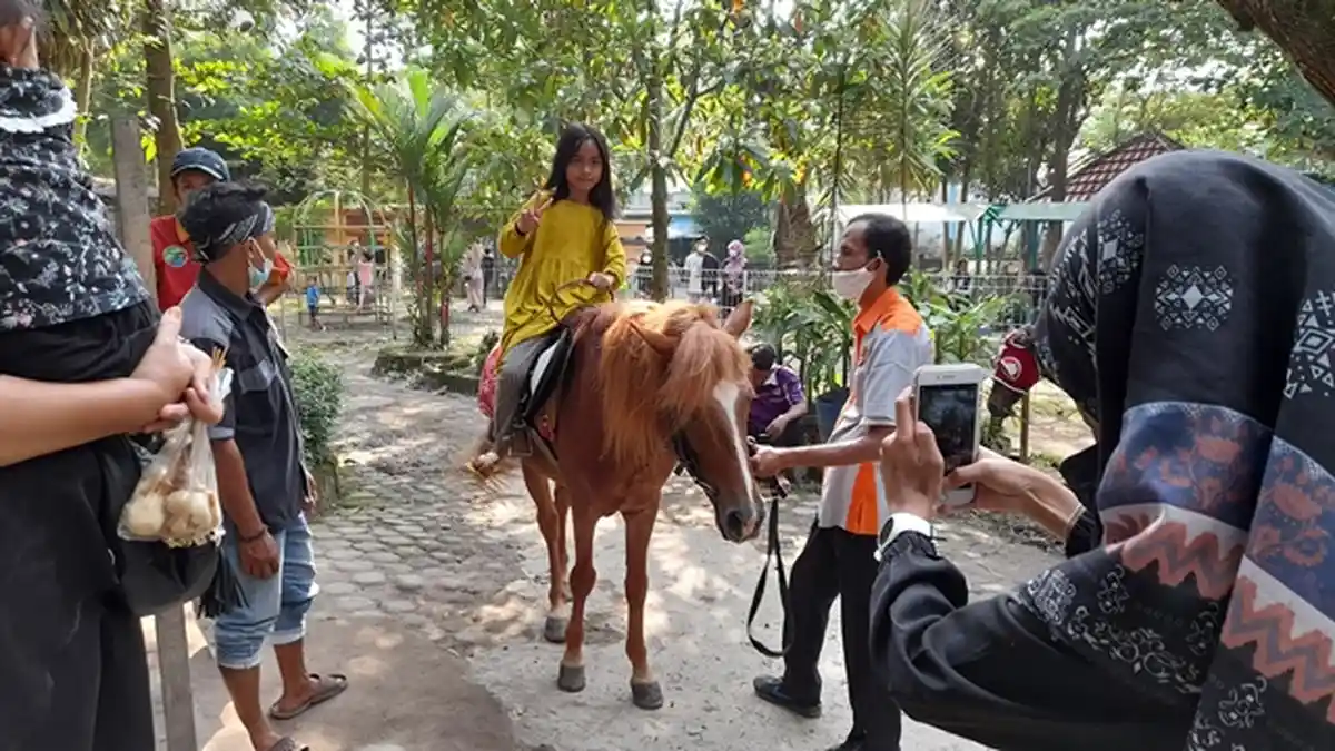 Arti Mimpi ke Kebun Binatang, Ada Kabar Bahagia yang Menanti