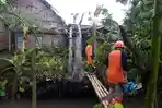 Puluhan Rumah di Dua Desa Tulungagung Rusak Dilewati Puting Beliung, Pohon Tumbang Timpa Madrasah