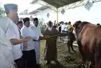sapi-kurban-dari-Presiden-RI-Prabowo-Subianto-kepada-DKM-Masjid-Agung-Sumedang.jpg