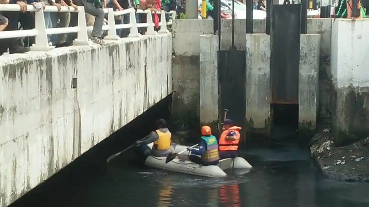Tiga Ekor Buaya Muara Terpantau Mengapung di Kali Grogol, Ada yang Panjangnya 2,5 Meter