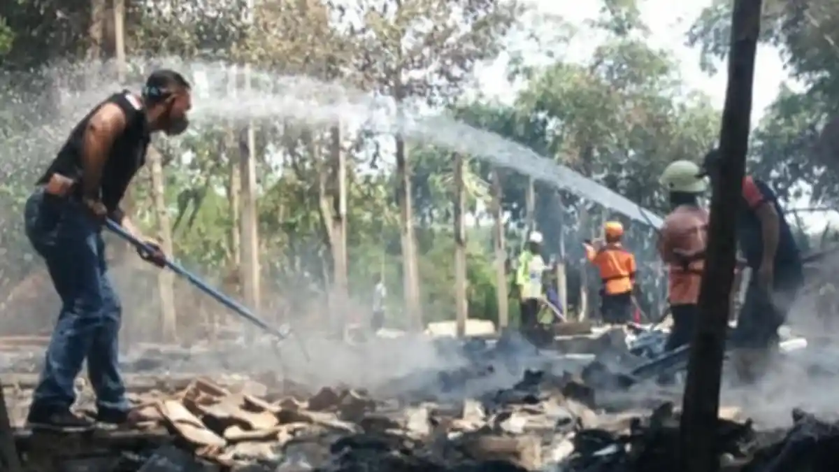 Kebakaran Kandang di Jombang, 3.000 Ayam Siap Panen Ludes Terbakar