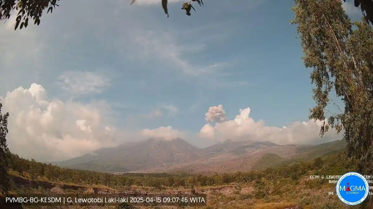 Gunung Lewotobi Laki-laki Erupsi Selasa Pagi, Tinggi Kolom Abu 1 Kilometer