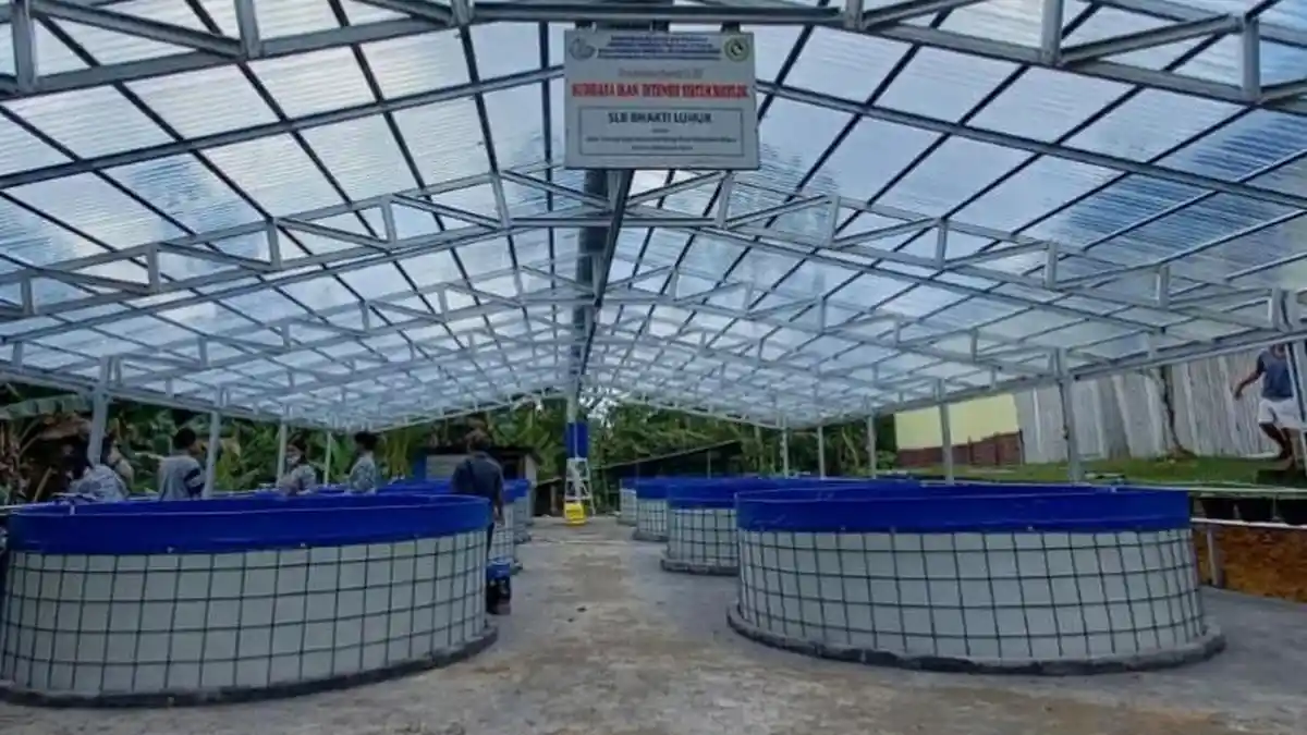 Genjot Produksi Usaha Budidaya Ikan Lewat Sistem Bioflok