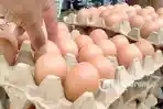 20240306_Pedagang-telur.jpg