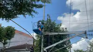 Petugas-PLN-tengah-memperbaiki-instalasi-listrik-di-Trenggalek-dengan-menggunakan-alat-yang-safety.jpg