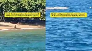Video-Viral-Buaya-Muncul-di-Pantai-Tobaku-Kolaka-Utara-Sultra-Warga-Ingatkan-Anak-anak-Bermain.jpg
