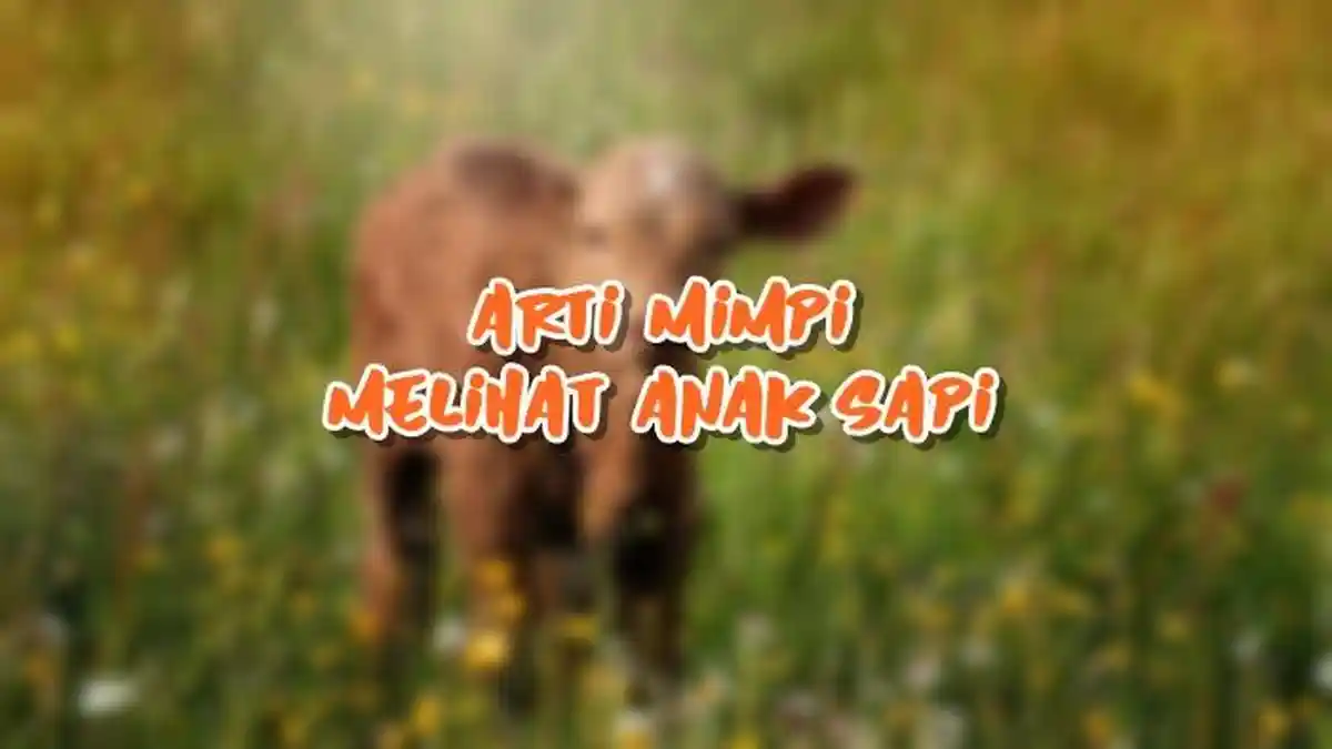 Arti Mimpi Melihat Anak Sapi, Pertanda si Pemimpi Merasa Optimis, Berikut Tafsirannya