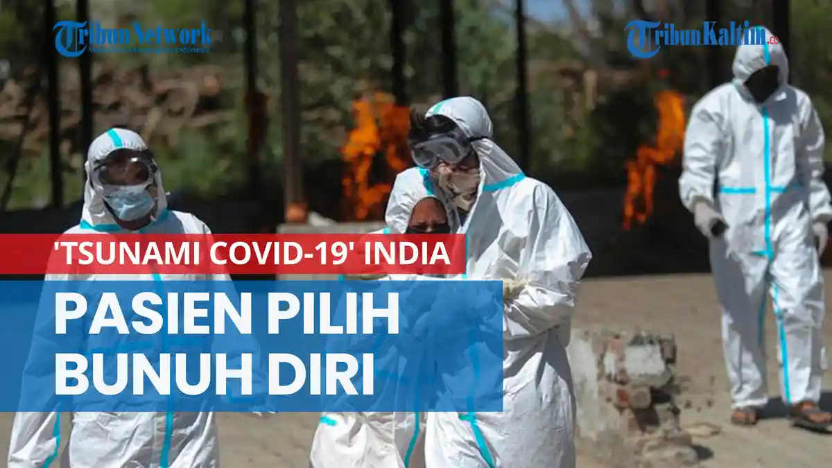 UPDATE Virus Corona di India, Positif Covid-19 Sentuh 24 Juta Lebih, Meninggal 12 Ribu dalam 3 Hari
