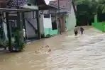 Orang Tua Susah Rumahnya Tergenang, Anak-anak di Sidaharja Girang Berenang