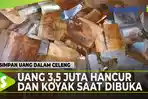 VIDEO - VIRAL Simpan Uang dalam Celeng, Jutaan Duit Hancur dan Koyak Saat Dibuka Lipatan