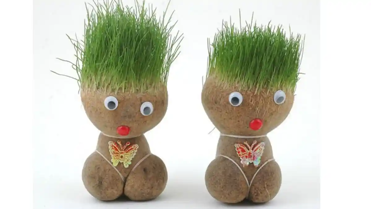 Animal Head Grass, Tren Baru Membentuk Bibit Tanaman Menyerupai Hewan Peliharaan