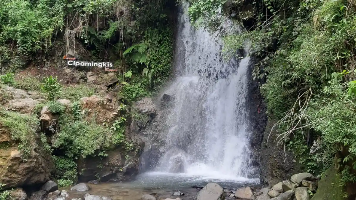 Harga Tiket Masuk Tempat Wisata Bogor Curug Cipamingkis, Bisa Camping Dekat Air Terjun