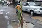 Kecewa Jalan Tak Diperbaiki Selama 2 Tahun, Warga Sambirobyong Tulungagung Tanam Pohon Pisang