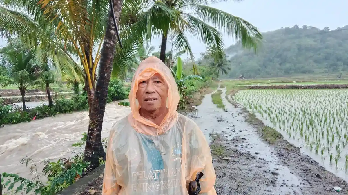 Hujan Deras, Sawah Petani di Desa Kading Barru Terendam Banjir