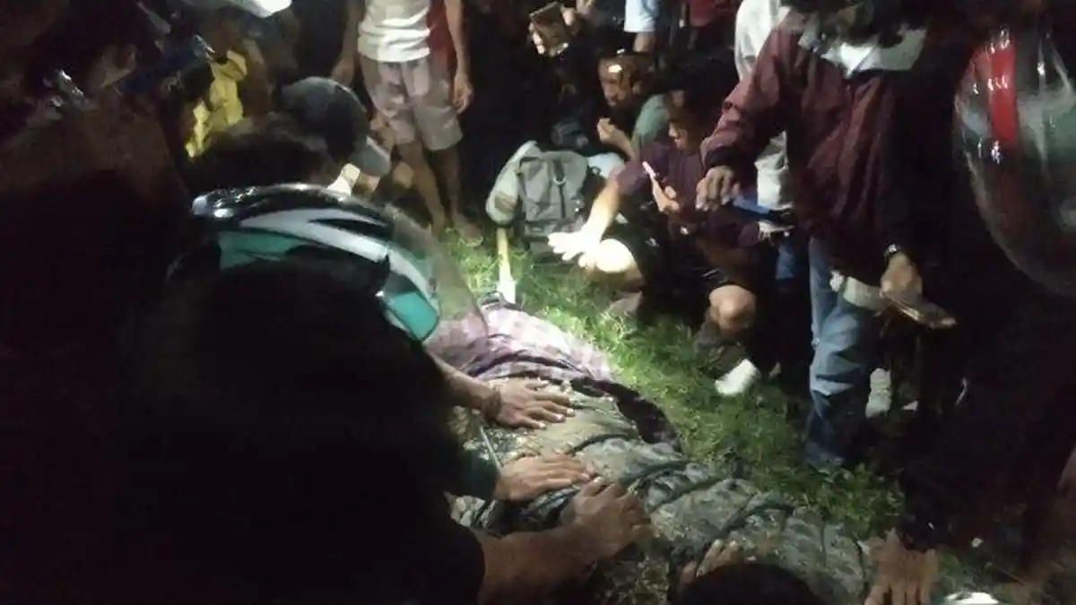 Ditonton Ratusan Orang hingga Jalan Macet Total, Begini Potret Evakuasi Buaya Berkalung Ban di Palu