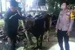 ilustrasi-pencurian-sapi-di-probolinggo-Sapi-curian-yang-ditemukan-polisi.jpg