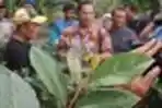 Ladang Khat