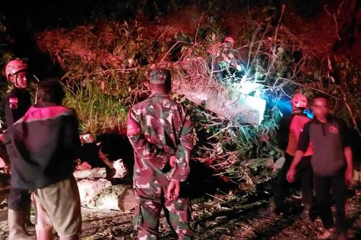 Pohon Tumbang Tutupi Jalur Piket Nol Lumajang, Sempat Dilakukan Sistem Buka Tutup