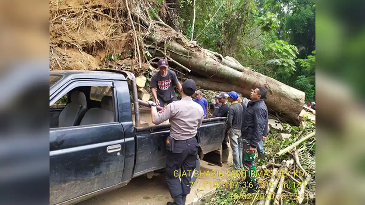 Longsoran Setebal 15 Meter Tutup Akses Utama Jalan Kadupandak Cianjur, Pohon Besar Melintang