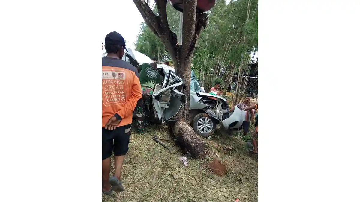 KECELAKAAN DI BATAM - Hilang Kendali, Mobil Ertiga Ringsek Usai Hantam Pohon di Trans Barelang