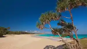 pantai-liman-semau.jpg