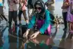 Pelepasan Tukik Lekang