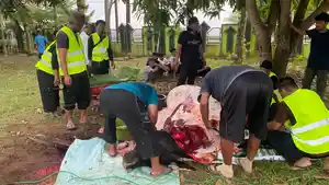 Proses-penyembelihan-sapi-kurban-bantuan-Presiden-RI-di-halaman-Masjid-Agung-Nurul-Huda.jpg