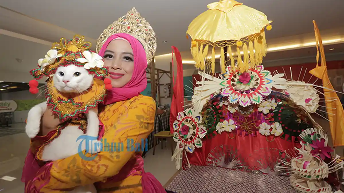 Bali Propaganda Cat Show 2019 di Park23, Kucing Rey Pakai Kostum Tari Pendet