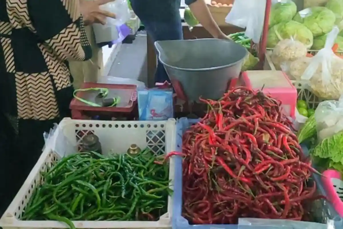 Harga Cabai di Kulon Progo Melambung Tinggi, Cuaca Esktrem Disinyalir Jadi Penyebab