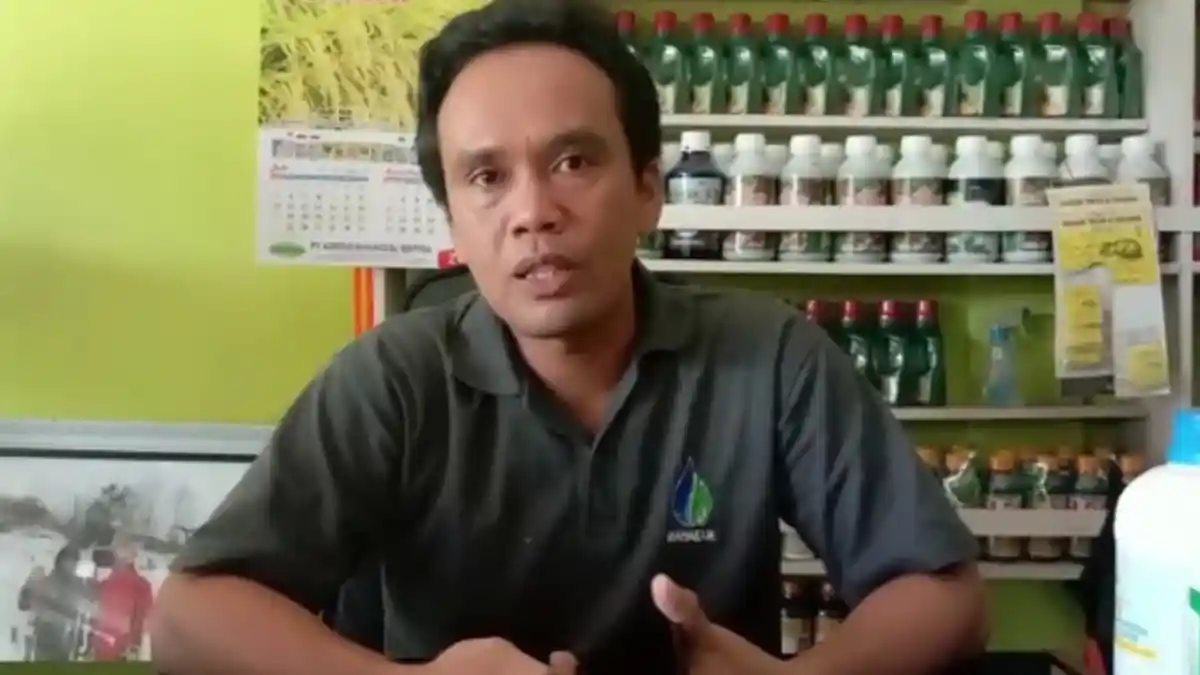 Harga Pupuk Non Subsidi di Bengkulu Selatan Berangsur Turun, Cek Harga Terbarunya