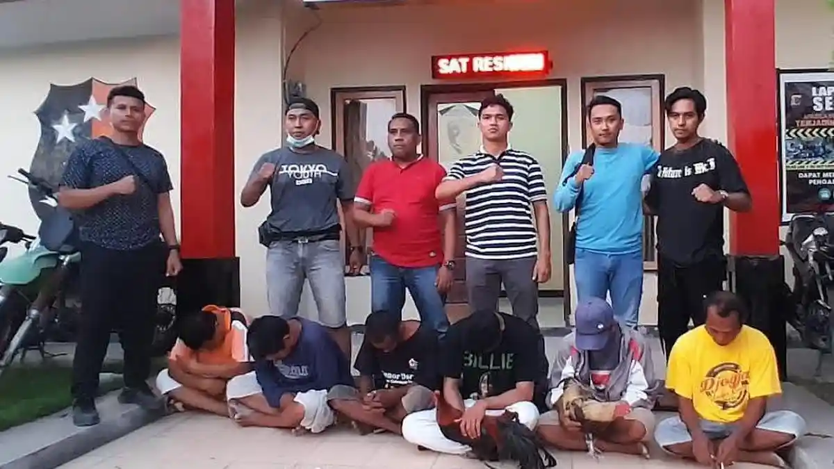 Terlibat Judi Sabung Ayam, Enam Warga Sumba Timur Diamankan Polisi
