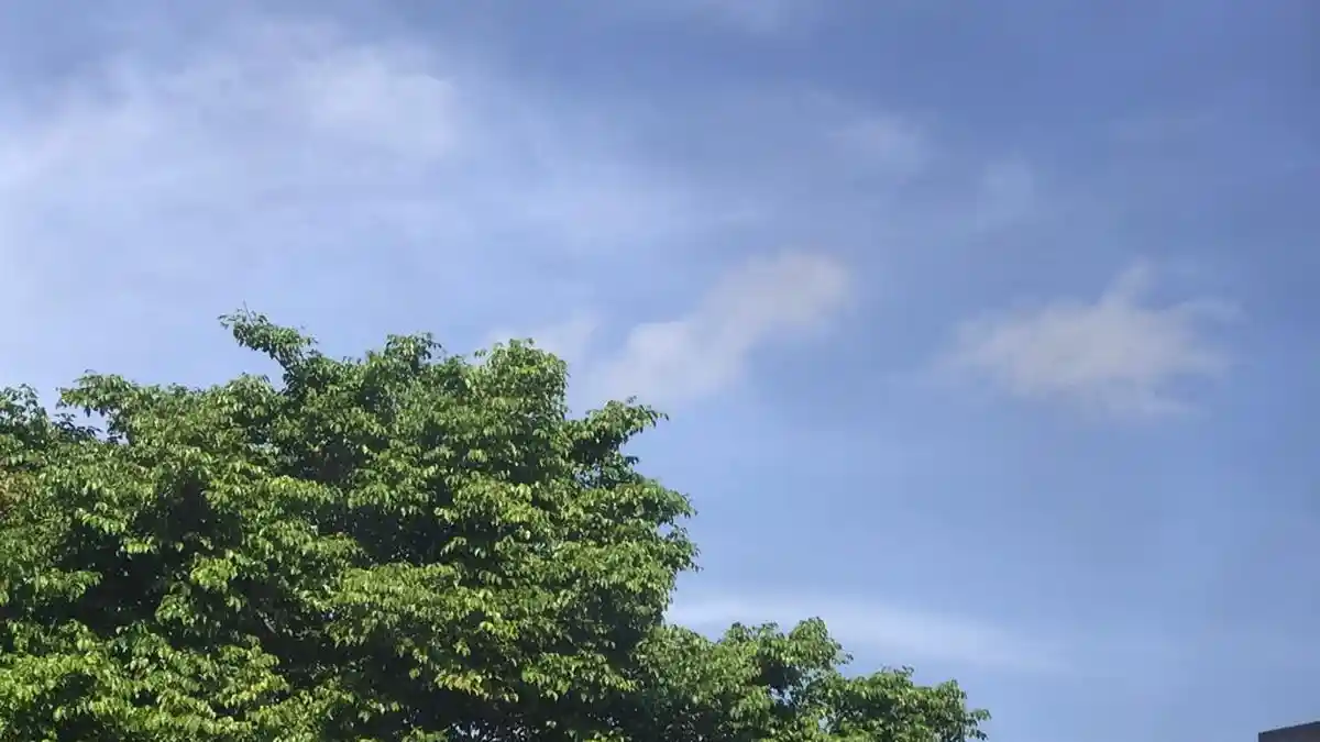 Peringatan Dini BMKG Gorontalo Minggu 26 Juni 2022: Kwandang hingga Suwawa Hujan Lebat