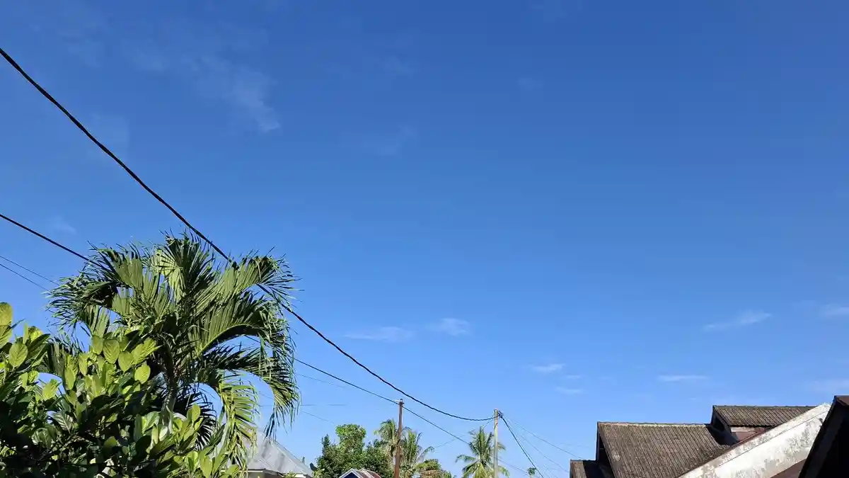 Update Prakiraan Cuaca Bengkulu Utara di 19 Kecamatan, Kamis 26 Juni 2025